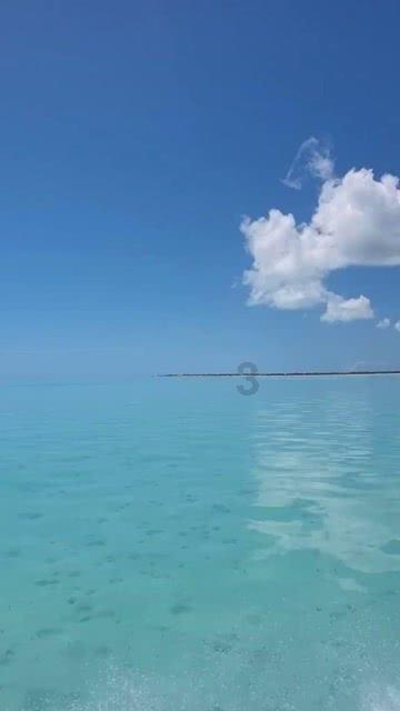 深海鱼救援